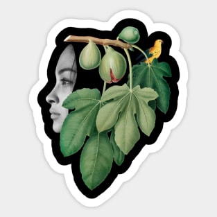 Surreal Collage Art with a girl, fig, bird and plants Sticker